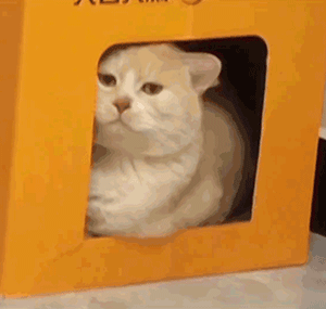 �߿������O���Ŀ�g�����Ȧ�߿����С����Ҫ�I�O��