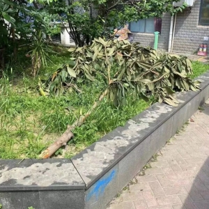 ���Կ������^���޼�С�^�ȾG����ľ���P��