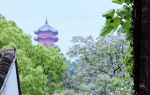 ��ɽ����Nޱ����һ����ˇ��һ�럟��⣡