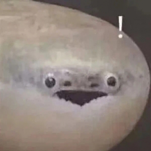 ȥ������������܇�r�ձ�Ҫע�⣺������ϵ��ȫ���P��200