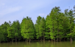 ���Ϸ����p������͵�ø��������e