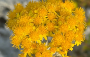 �\�ӹ��@�S�ģ��]��Ԋ���h(yu��n)�������Ĭ����С����