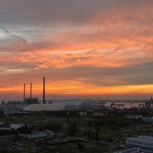 ��ꎣ���������ӳ��ϼ��һĨϦ����箋