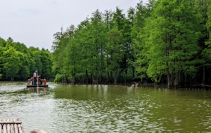 СС��ˮ���� ���������G����