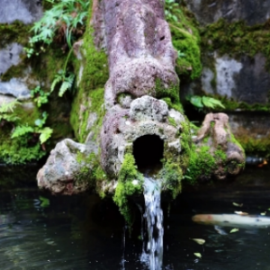 ��ˮī�������򿨻�ɽ�p�@��