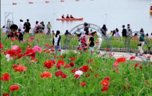 ����ā���ȱ�L�����y�õ������ā����p