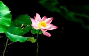 ����p�ɵ����]��������Ҹ����Л](m��i)��