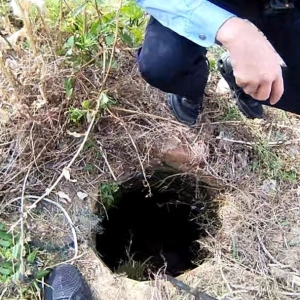 �o�������һ�ľ���(n��i)�@�F(xi��n)���