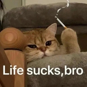 С����������⣬�I���Ƽ����ЌW���R�ۿƄ����Y���ЌW���A�|���������x�Ă�