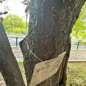 �۾��f��ı�Ƥ�ǂ�ݔ�B�ֵ��������ǂ���������֪�������@ô��