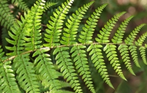 ���R�^��׽��߅���������G��ꎝ������L