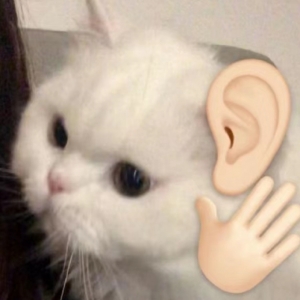 Փ���W�џ��h���߿��֔��ѳ�����ݼ���680������ꎸ߿����w��r�����ġ�