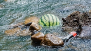 ����֪ͨ����ٕr(sh��)�g�_����