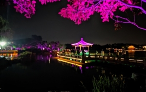 �֙C�S�ģ���������һ�cһ��