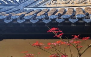 �P�ݺΈ@�����L�İו����c���@�ֵ�ʢ��