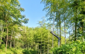 ���ɽ�f���w�ɽ�gҰȤ���������յ����e�c���