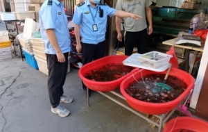 ��ꎣ�С���r�F����飡�Y����