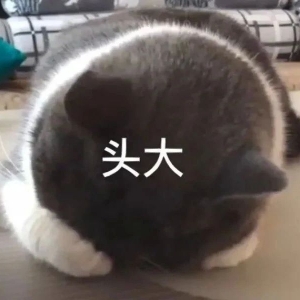 С���п�623߀ָ������ꖸ����أ����@���֔�ȥ��ֻ�����L��