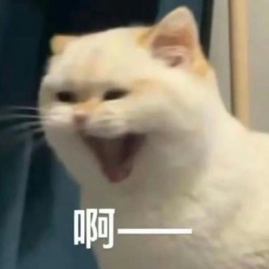 ���ǣ�܇�@��ҲҪ͵���������������׾������������������