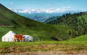 �z���R�^�µ��½����o�ȉ��^��������Ȼ���^