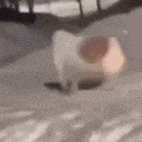 ��ꎓ��B�M�ж���2000-3000���������c֧���t��+�n����Ӗ�������з���ͥ�ϲ�ͬ����ô�k