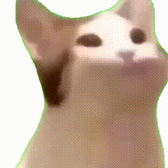 ף�������ж������ܶ��˿����˶�������