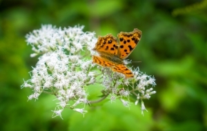 ����Ȼ�еĄ���z�ѵ��R�^�¾��������