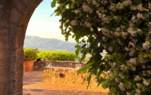 �S�ģ�ƽ�o���N(y��n)����������̓�o��͸¶�����C(j��)