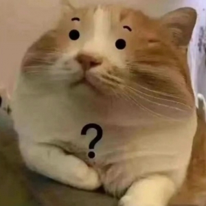 ����С������Ҫ���[��������@�����׆��������[߀Ҫ��ʲô