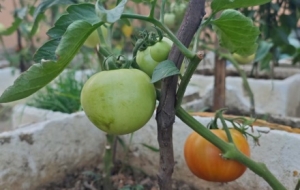 �W����_�ԝM�Ϲ��߲����L����ʢ�ɾ͸НM�M