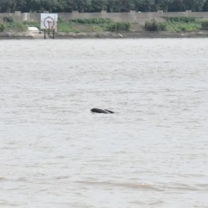 ��ꎴ�򸽽�ͻȻ���F(xi��n)��