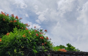 ��(l��i)�K�� (t��ng) (t��ng)�ǃzܛ�Z(y��)��С�����I(l��ng)�Ԃ��y(t��ng)�u(p��ng)��������