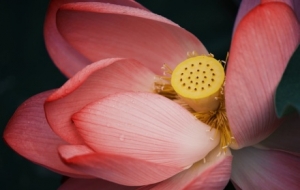 ��������֮�s�����㸡�Ӻɻ���