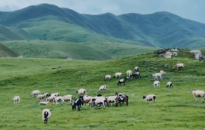 �ʼ��ؾ���̽��ǧ��ųǣ������[�ظ�ԭ