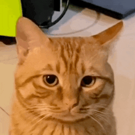 ������򣺏Ĺ���܇���M�����ّB��ÿһ������Ƭ������˻����