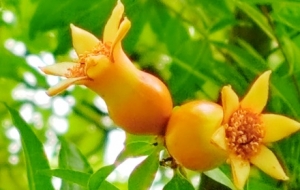 ֲ��ğ��[�_�����죡�o���h��һ�z���