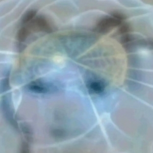 �ļ��Â���ð��ʲô���X�������������ϰ�