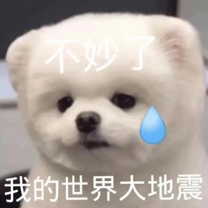 �Ђ��ˁ��ⷿ�ӣ�׷���҆��ǲ���һ����Ч����׌���҄e�İɣ��ٰ���������