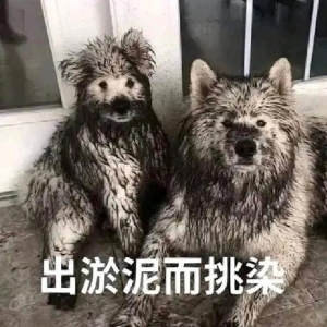 ���ѽ��ܾÛ]���Ԍ��I�|���ˣ������϶���ƴ��࣬����ͬ�ӵĖ|�����Ԍ�����