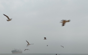 ���������c�����w��ĺ��tһ�����