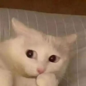 ���7����M���Ҽ�475��늣��U�M224Ԫ���������¸�~