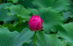 ʢ�Ļ������ɻ���˯ɏ�`�ŵĻ��˹�������ģ��