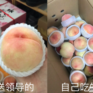 ȥ�ɽ���������I������һ�c�������@���Rƨ�����İ�