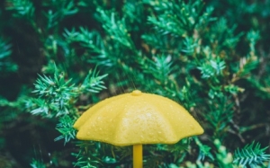 �̕r����ˮ���ױ�+���L(f��ng)���潭����µ؅^(q��)�K