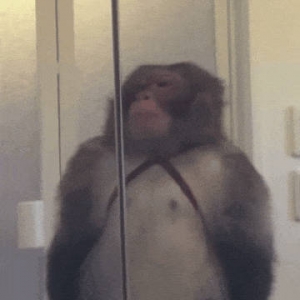 8���x���K�ڰѹ��e����ȡ����(l��i)�ˣ����6��(g��)�°�֮ǰǷ���X߀��