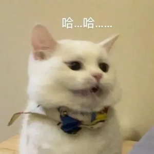 �ҵķ�Ҫ������һ������f(shu��)ֻ������(g��)�¡��ґеú����f(shu��)Ԓ��ֱ�ӓ]�]��׌������