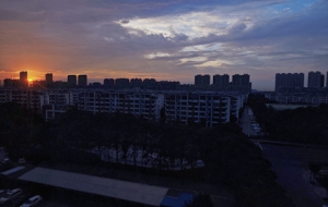 ������߅����ϼ������������