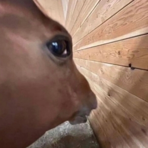 Փ���ﶼ�f�l�°���ϲ�µİל���óԣ��䌍�����Ǯ����������ģ�����֮��Ҳ�Ǹ��N�{�� ...