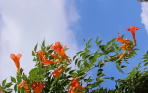 ����һĨ�t���Ϻ���߅�����������϶���