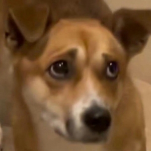 ���и������������f�������д������Ӱ���Ϣ�������ώ��������X�o��